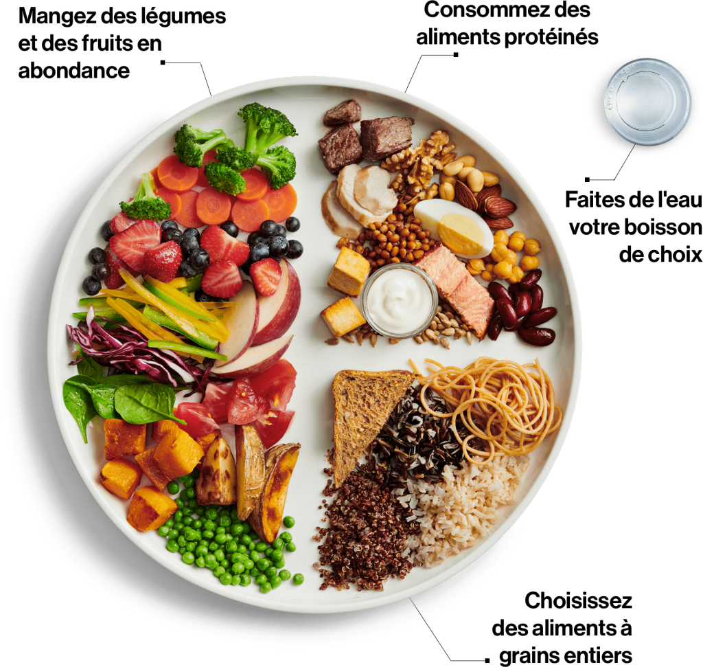 french-canadian-food-guide-picture-drrd-nutrition-gatineau-ottawa